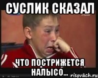 суслик сказал что пострижется налысо...
