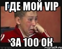 где мой vip за 100 ок