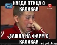 кагда птица с каликай зажла на фарм с каликай