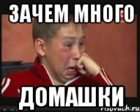зачем много домашки