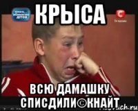 крыса всю дамашку списдили©кнайт