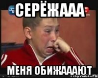 серёжааа меня обижааают