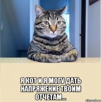  я кот и я могу дать напряжение твоим отчетам...