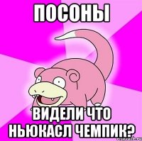 посоны видели что ньюкасл чемпик?