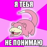 я тебя не понимаю