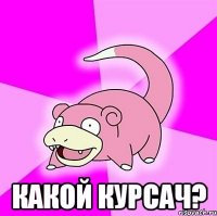  какой курсач?