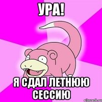 ура! я сдал летнюю сессию