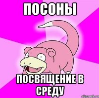 посоны посвящение в среду