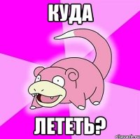 куда лететь?