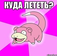 куда лететь? 