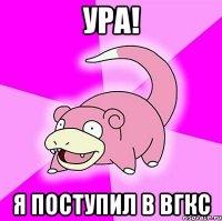 ура! я поступил в вгкс