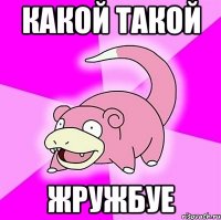какой такой жружбуе