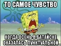 то самое чувство когда осень в батайске оказалась пунктуальной