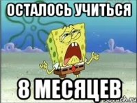 осталось учиться 8 месяцев