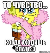 то чувство... когда уходишь спать:3