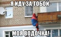 я иду за тобой- моя водочка!