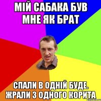 мій сабака був мне як брат спали в одній буде. жрали з одного корита