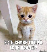 Есть семки епт?! А если найду!?