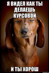 я видел как ты делаешь курсовой и ты хорош