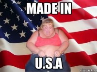 made in u.s.a