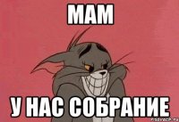 мам у нас собрание