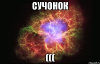 сучонок (((