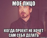 мое лицо когда проект не хочет сам себя делать