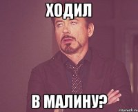 ходил в малину?