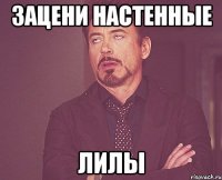 зацени настенные лилы