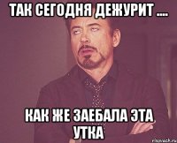так сегодня дежурит .... как же заебала эта утка