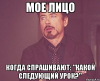 мое лицо когда спрашивают: "какой следующий урок?"
