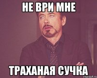 не ври мне траханая сучка