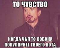 то чувство когда чья то собака популярнее твоего кота