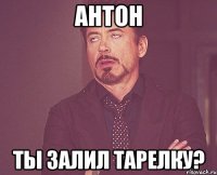 антон ты залил тарелку?