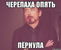 черепаха опять пёрнула
