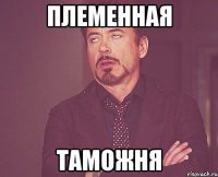 племенная таможня
