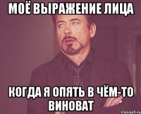 моё выражение лица когда я опять в чём-то виноват