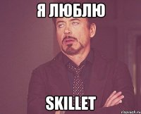 я люблю skillet