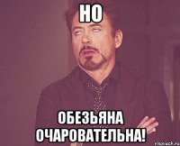 но обезьяна очаровательна!