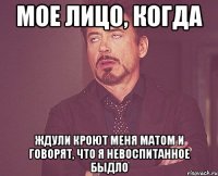 мое лицо, когда ждули кроют меня матом и говорят, что я невоспитанное быдло