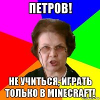 петров! не учиться, играть только в minecraft!