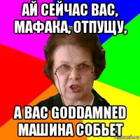 ай сейчас вас, мафака, отпущу, а вас goddamned машина собьет