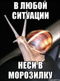 в любой ситуации неси в морозилку