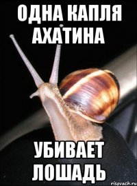 одна капля ахатина убивает лошадь