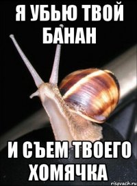 я убью твой банан и съем твоего хомячка