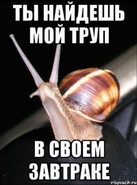 ты найдешь мой труп в своем завтраке