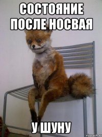 состояние после носвая у шуну