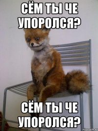 сём ты че упоролся? сём ты че упоролся?