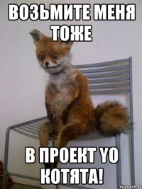 возьмите меня тоже в проект yo котята!