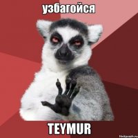  teymur